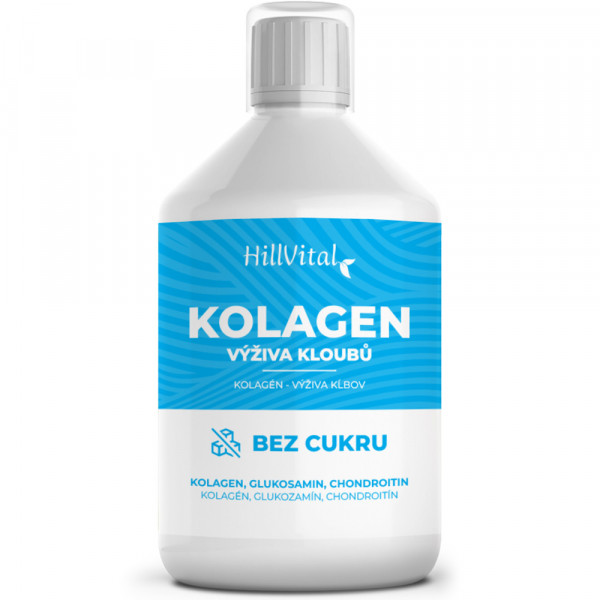 Kollagen Gelenkernährung - Gelenkunterstützung, 500 ml